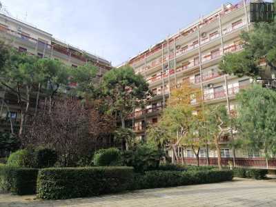 Le ville, realizzate tra la fine dell�800 e l�inizio del 900, furono demolite tra gli anni 60 e 70 per far posto proprio al residence "Parco Paradiso" oggi compreso tra le attuali via Fanelli, viale Einaudi, via Pavoncelli e via Palmieri